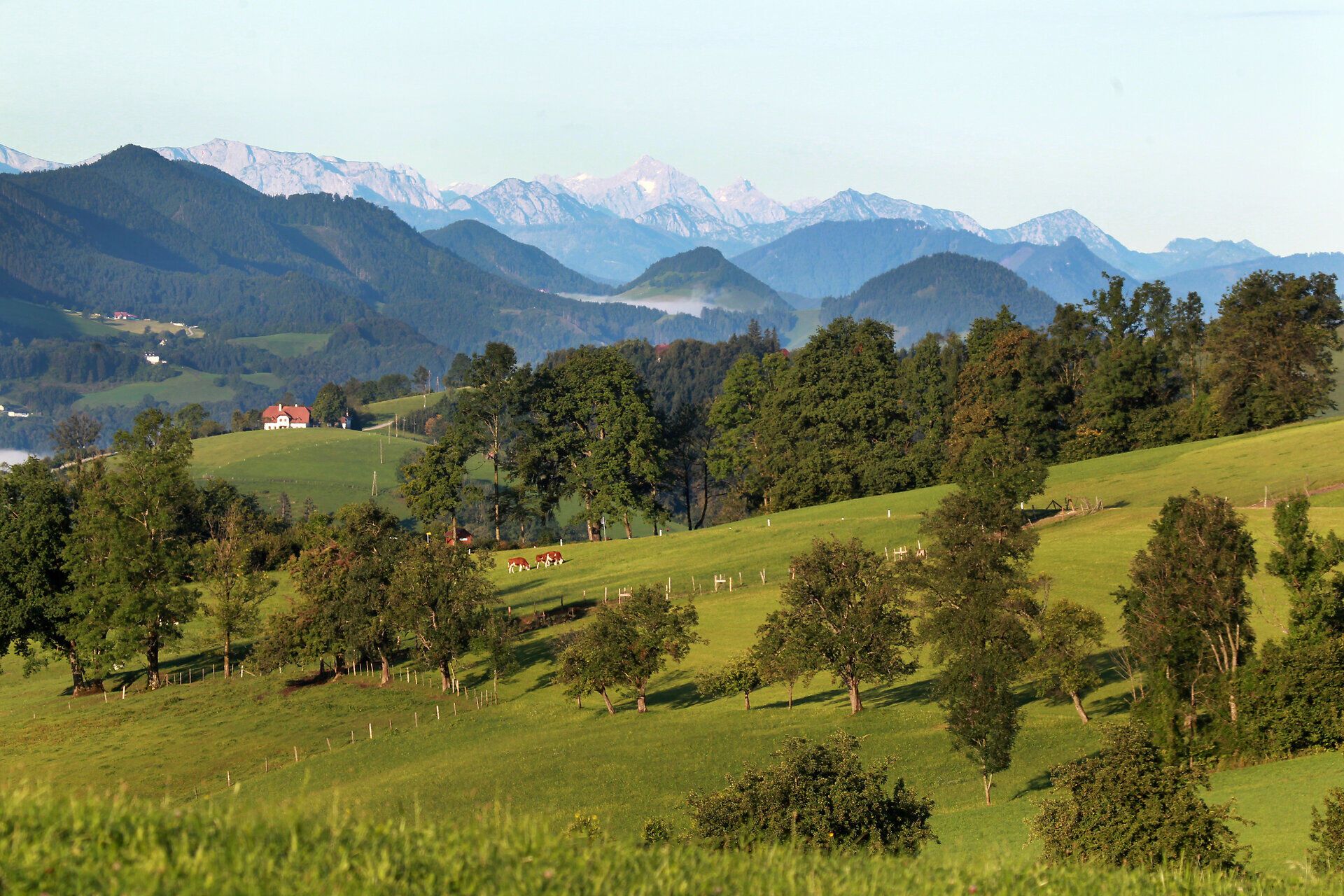 Die sanften Hügel des Mostviertels laden zu einem unvergesslichen Ausblick ein, während die majestätischen Berge im Hintergrund die Landschaft umrahmen. Hier, wo die Natur in voller Blüte steht, können Wanderer die frische Luft und die Ruhe der alpinen Umgebung genießen.
