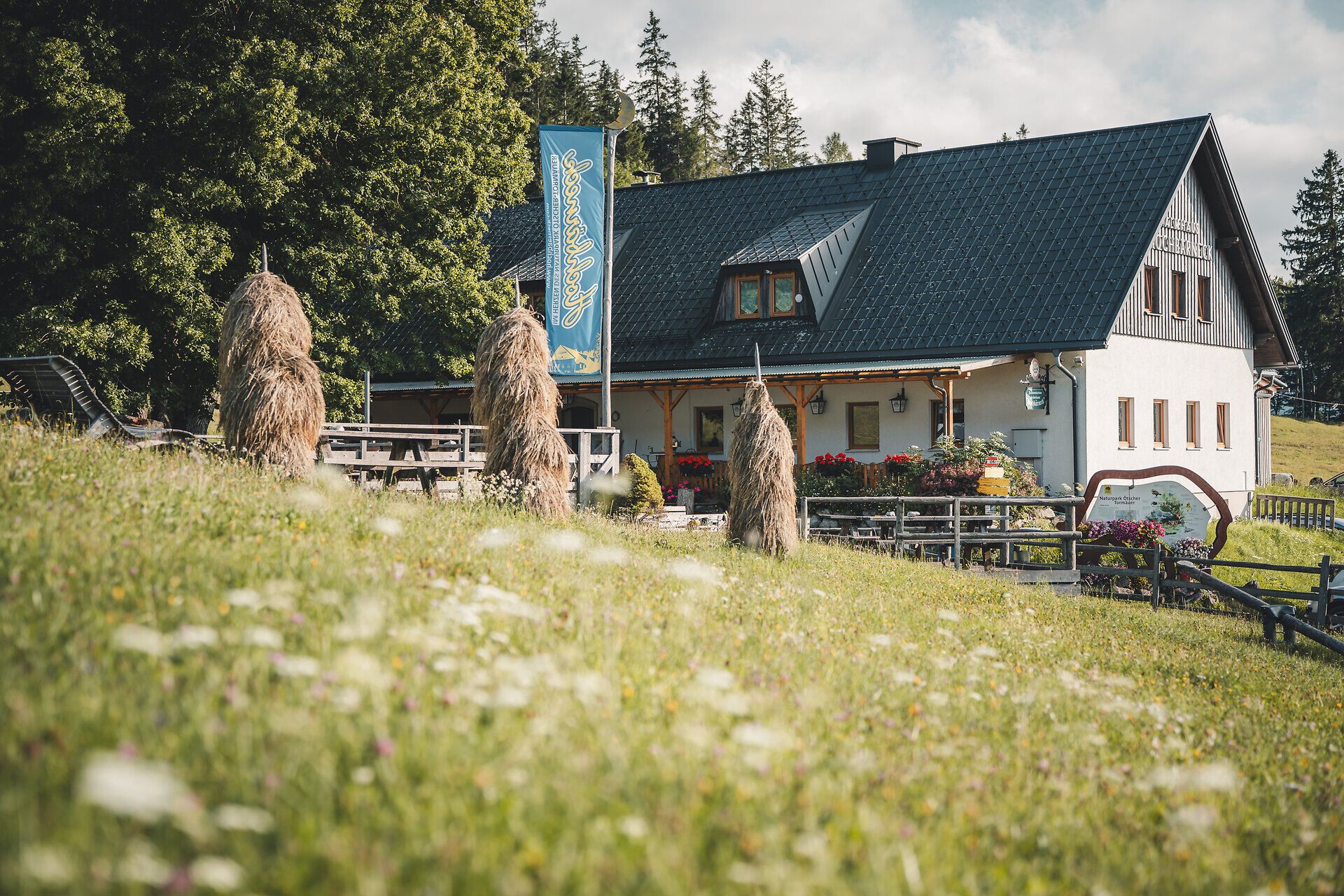 Außenansicht des Gasthauses Hochbärneck mit Wiesen und Wald im Hintergrund, eingebettet in die Natur.