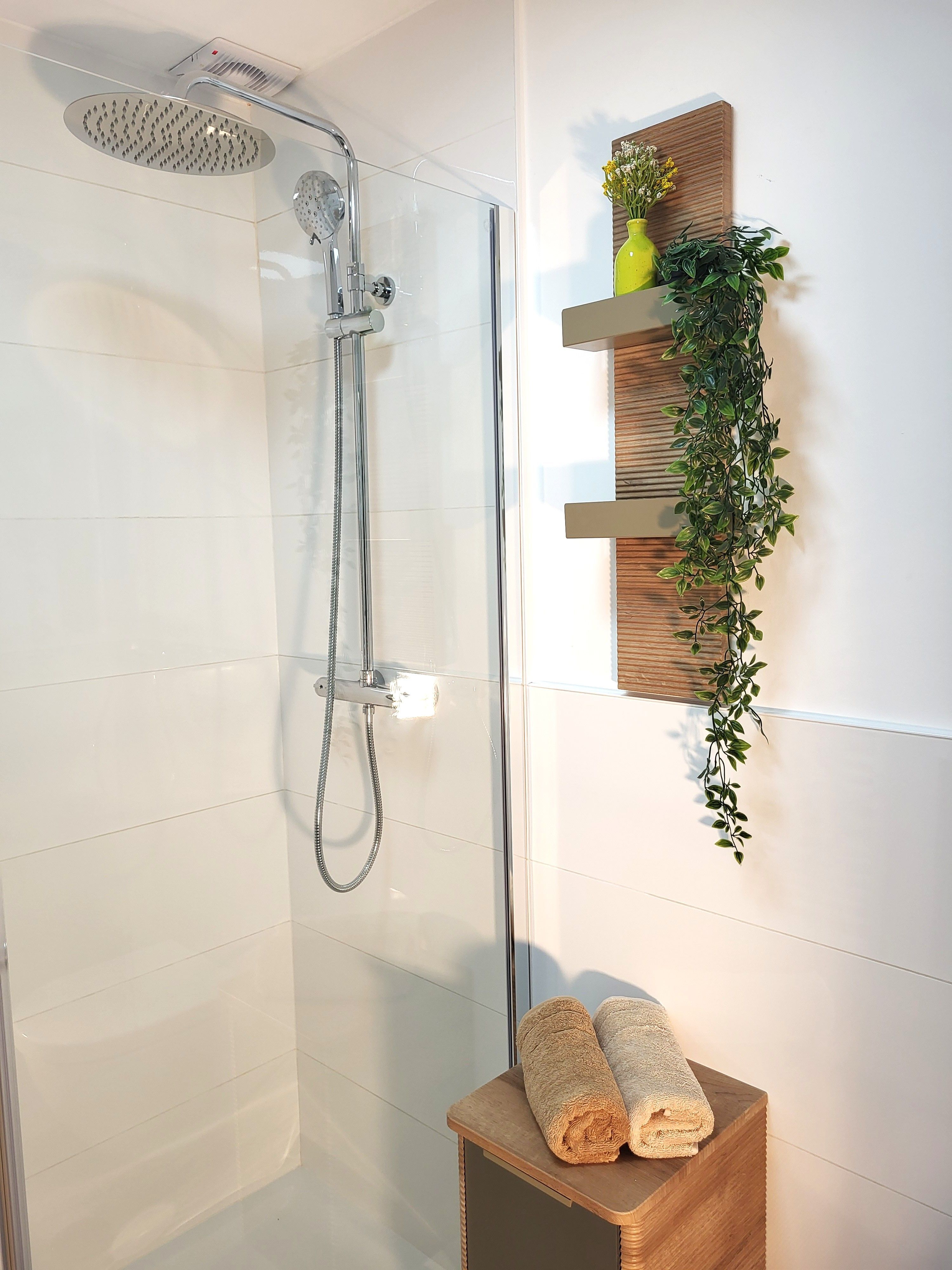 Dusche mit Regenduschkopf, daneben ein Regal mit Pflanzen und Handtüchern.