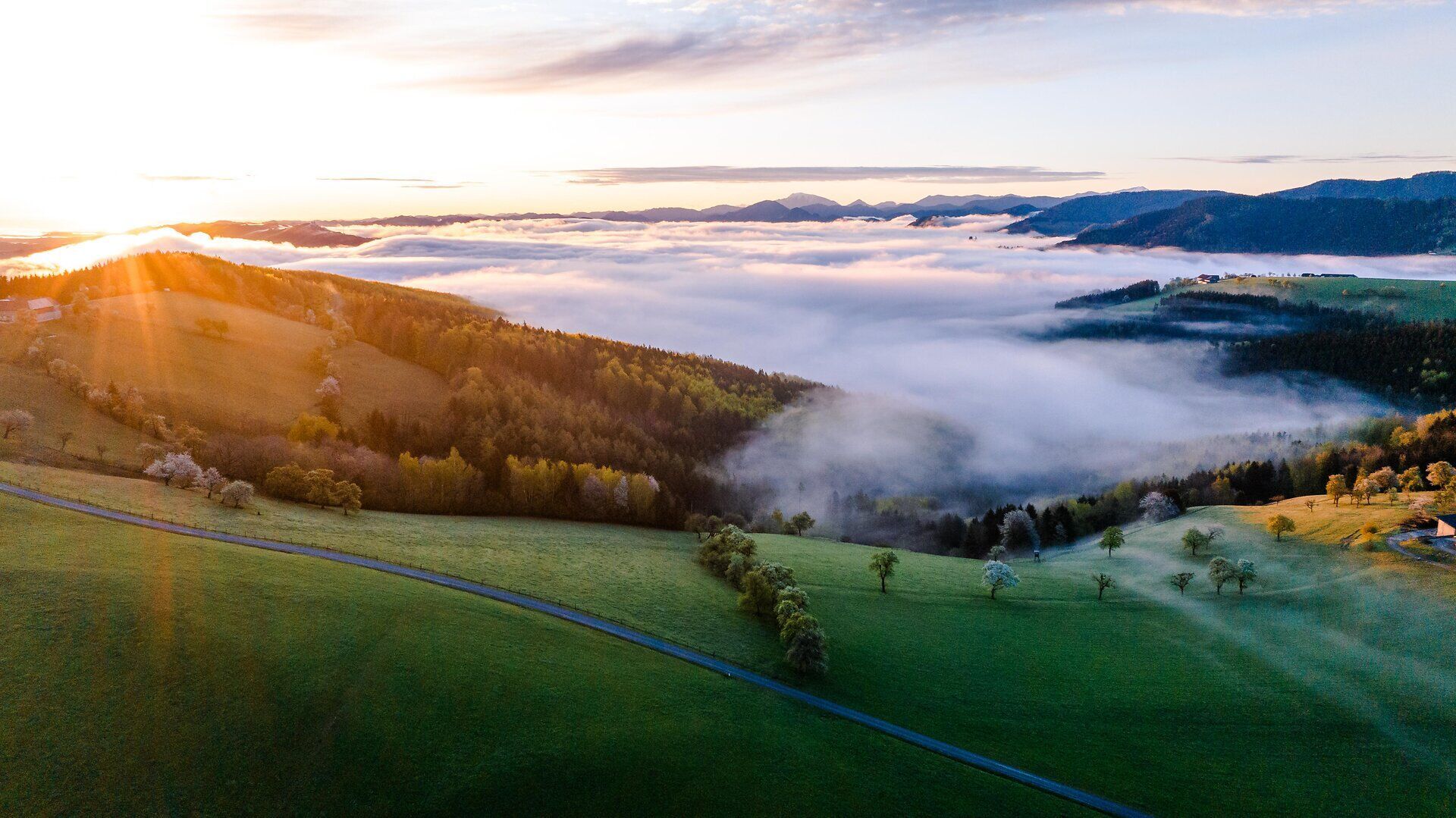 Die sanften Hügel des Mostviertels sind im Frühling in ein zartes Blütenmeer gehüllt. Die Birnbäume blühen prächtig und verbreiten einen süßen Duft, während die Sonne sanft über die Landschaft strahlt. Ein perfekter Ort, um die Schönheit der Natur zu genießen und die Seele baumeln zu lassen.