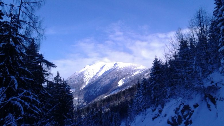 View vacation apartment Bernreiter, © Fam. Bernreiter