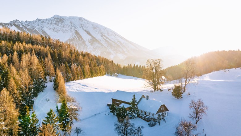 Nestelberg 17, © Sabine Wieser