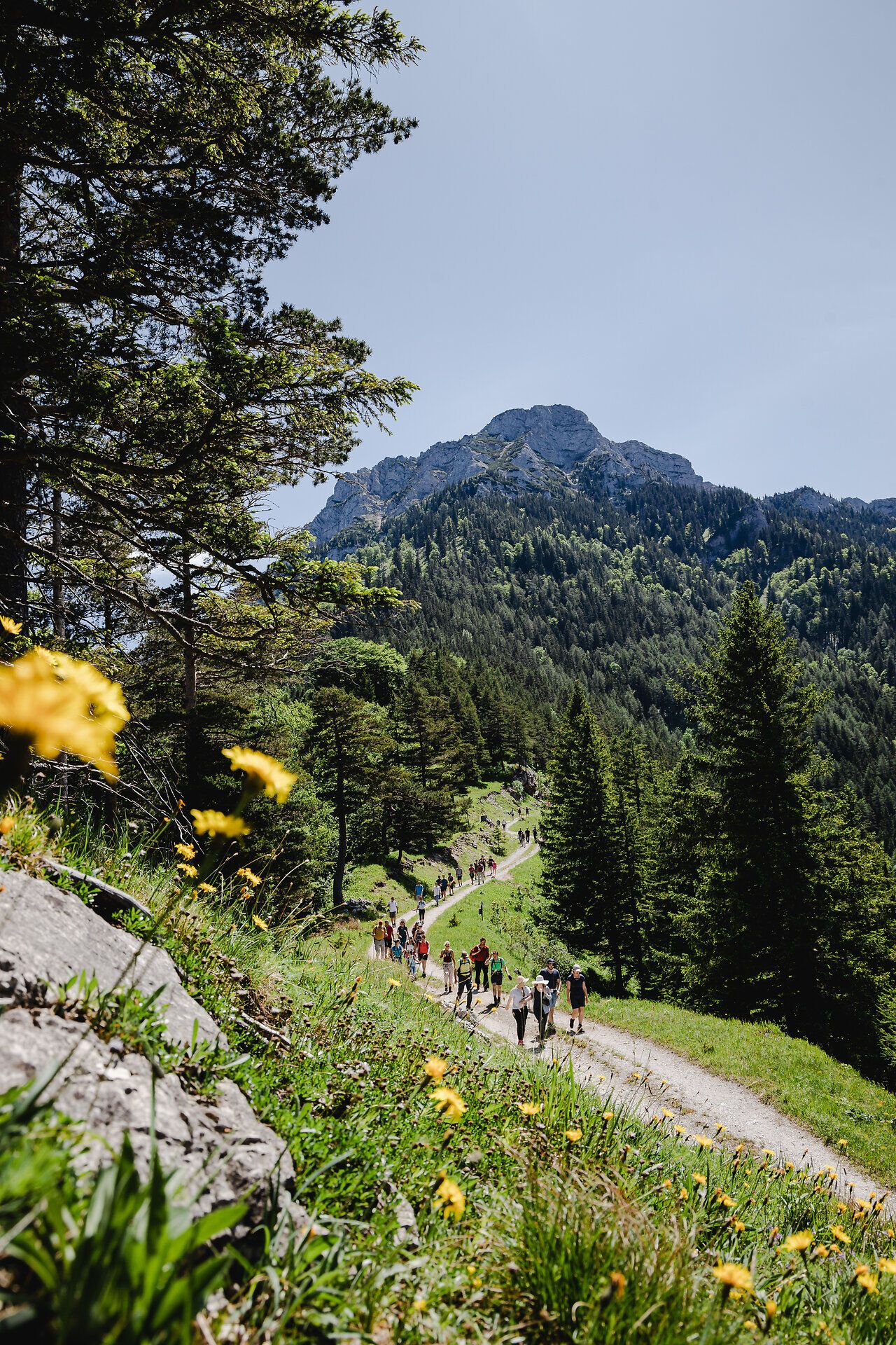 Ein malerischer Wanderweg schlängelt sich durch die üppige alpine Landschaft, umgeben von majestätischen Bergen und blühenden Wiesen. Die frische Bergluft und das sanfte Rauschen der Bäume laden dazu ein, die Schönheit der Natur in vollen Zügen zu genießen.