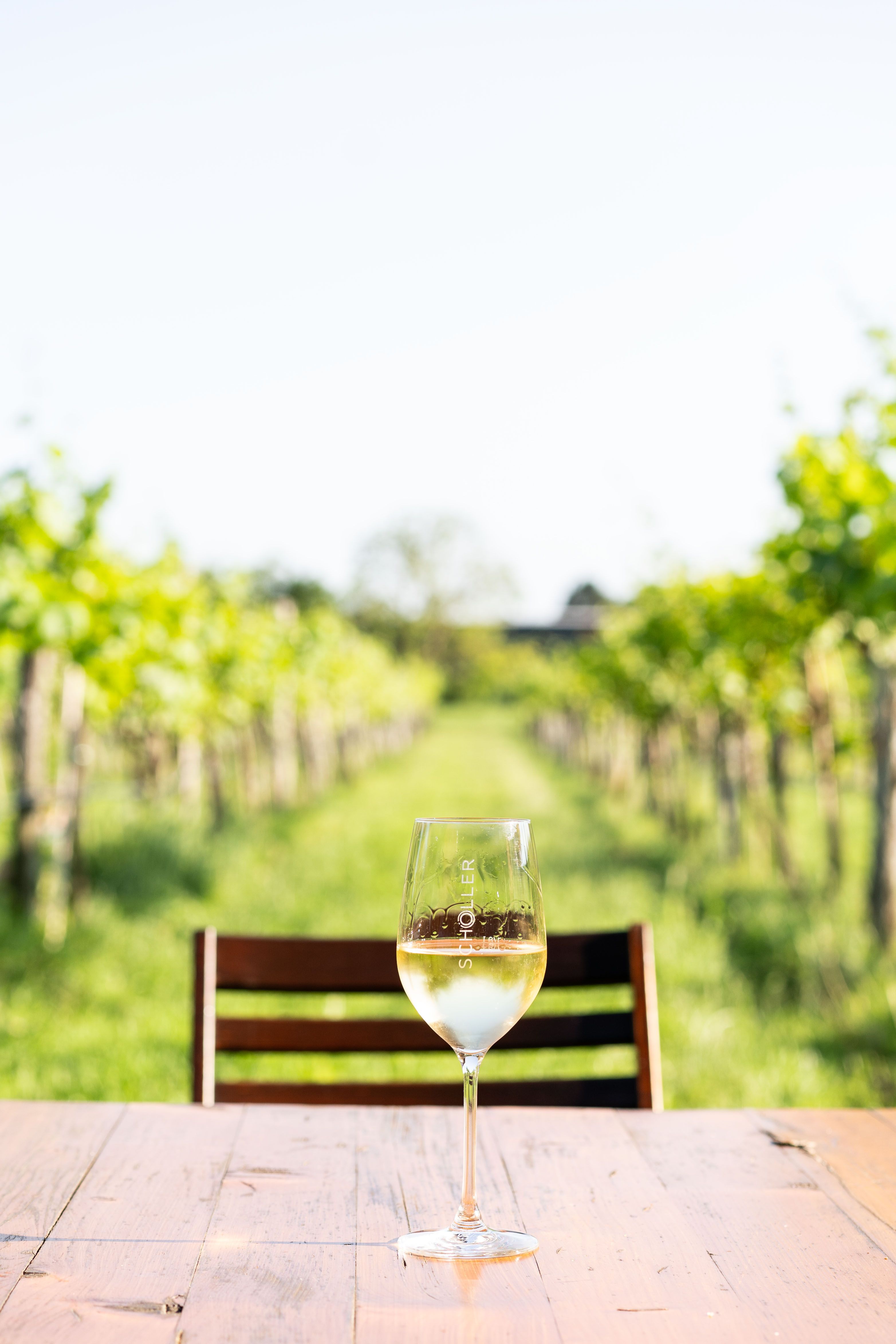 Weinverkosten wo der Wein herkommt