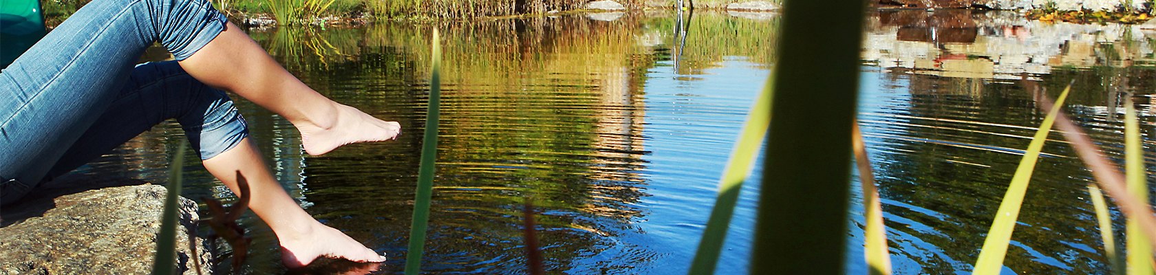 Summertime in Mostviertel, &copy; weinfranz.at