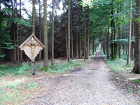 Der Salaberger Wald, &copy; Mostviertel - O&Ouml; Mariazellerweg
