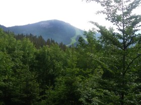 Blick auf den Kleinen Ötscher, © TB Gaming