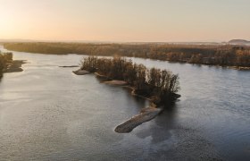 Donau Insel, &copy; Mostviertel