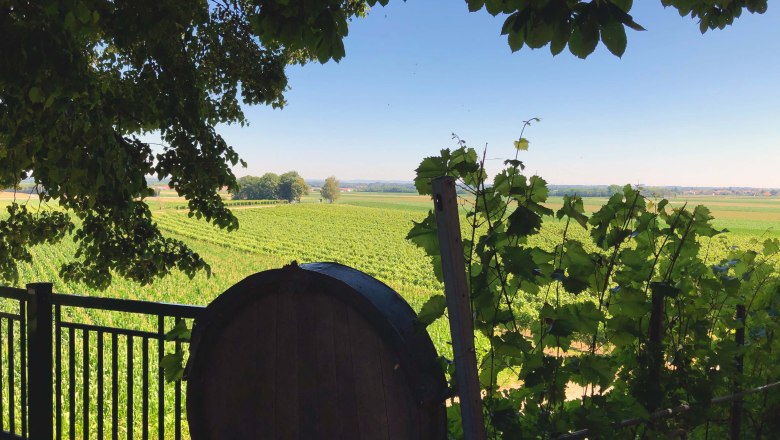 View of vineyards with a wine barrel in the foreground, framed by leaves.