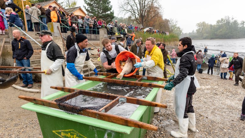 Menschen beim Abfischfest an einem Flussufer.