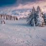 Winter in Lackenhof, © Gerald Demolsky