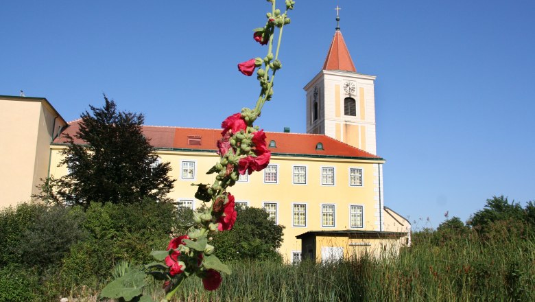 St. Andr&auml; parish church with red flowering shoot in the foreground.
