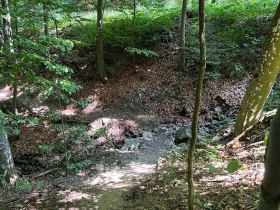 Pyhra Trail, &copy; MTB-Initiative St.P&ouml;lten