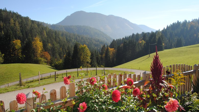 View from Hetzkogl, &copy; Grasberger