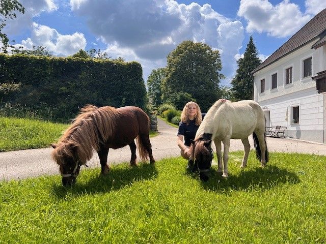 Ponys am Landhaus Aigner (1)