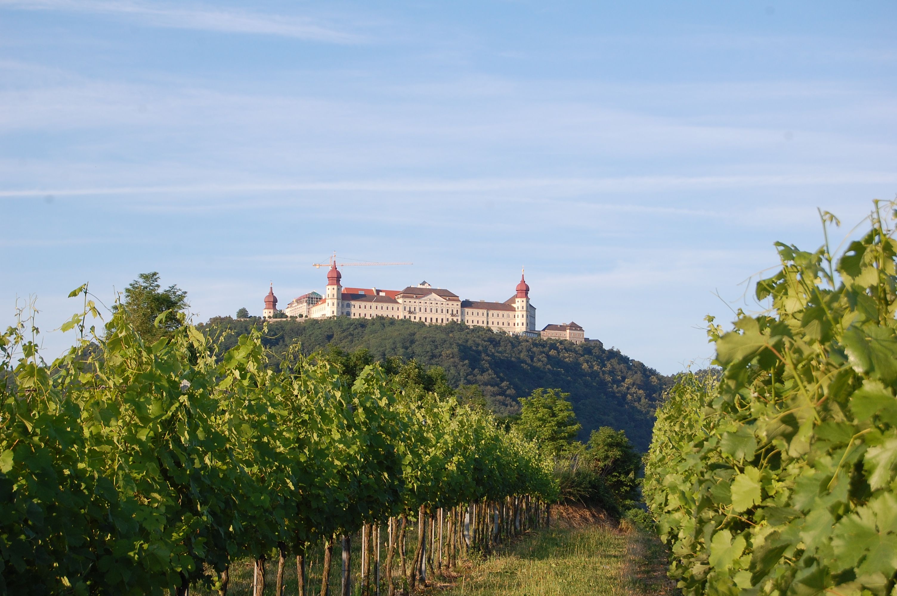 Stift Goettweig mit Weingärten