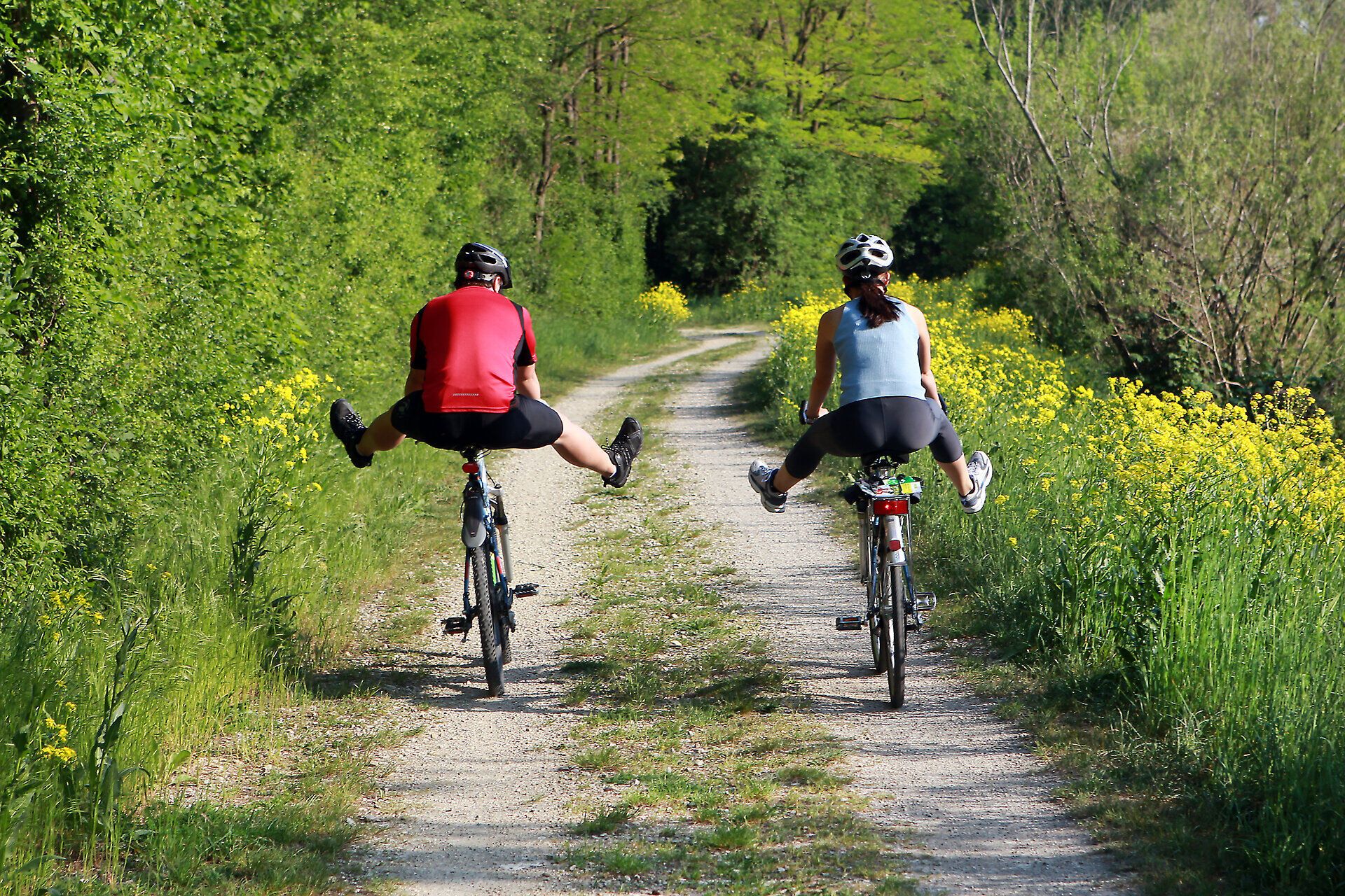Auf dem Traisental-Radweg genießen Radfahrer die frische Luft und die blühenden Wiesen, während sie durch die malerische Landschaft gleiten. Die goldenen Rapsfelder und das sanfte Plätschern des Baches schaffen eine harmonische Atmosphäre, die zum Verweilen einlädt.