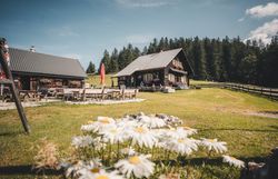 Terrasse der Kitzhütte im Gebiet Eisenstraße im Mostviertel.