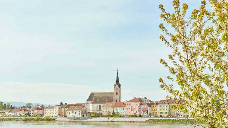 Blick auf die Stadtgemeinde Ybbs an der Donau mit blühendem Baum im Vordergrund.
