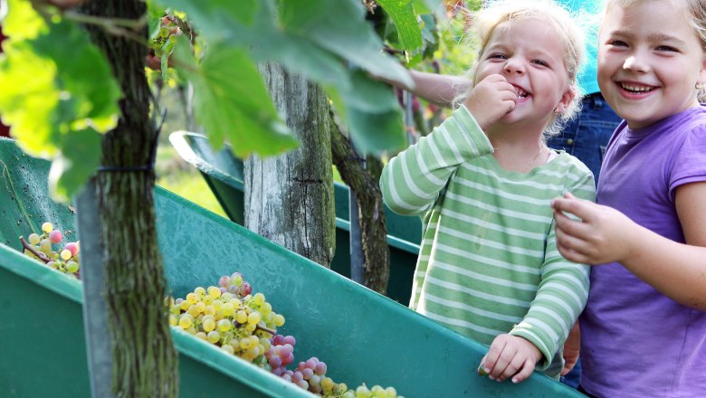 Zwei lachende Kinder im Weinberg, eines isst Trauben.