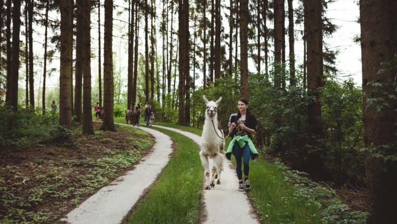 LAMAnipura – deine Yoga Auszeit im Lamawanderland, © Anna Radlbauer