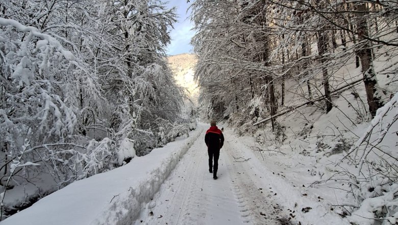 ferienhof-schelchen-in-winter-21, © Schoisswohl