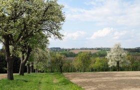 Na cestě po rodinn&eacute; cyklostezce Seitenstetten, &copy; Marktgemeinde Seitenstetten