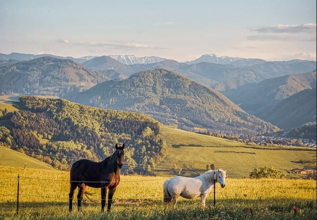 Herzogberg, &copy; Gerald Demolsky
