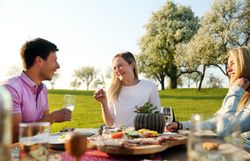 Unter blühenden Birnbäumen genießen Freunde in der warmen Frühlingssonne ein köstliches Picknick. Die fröhliche Stimmung und die erfrischenden Getränke laden dazu ein, die Schönheit der Natur und die Geselligkeit in vollen Zügen zu erleben.