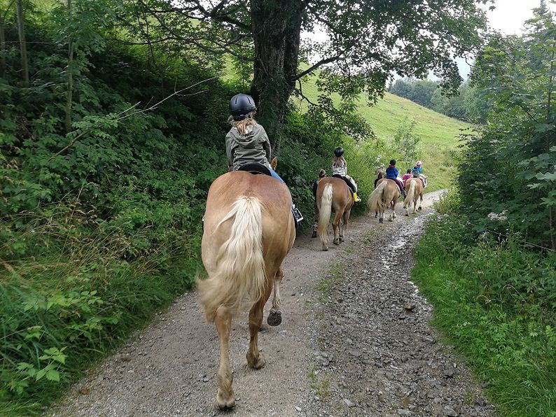 Kinder reiten auf Pferden auf einem Waldweg.