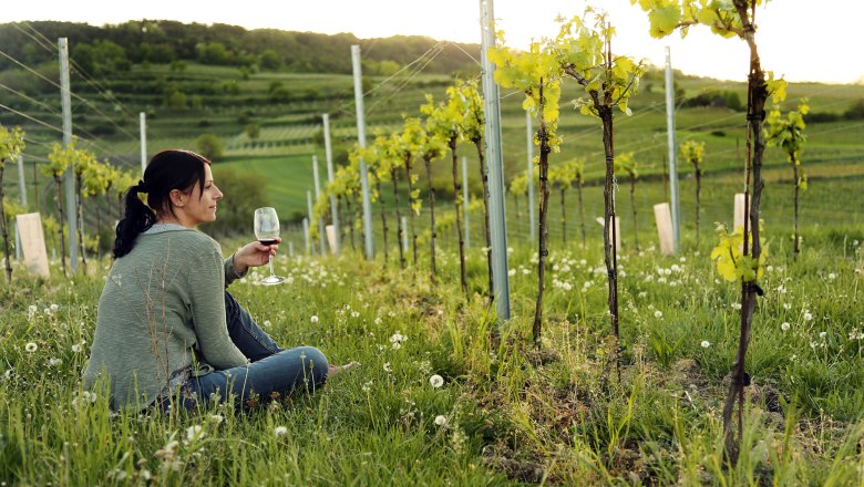 Weingenuss im Traisental, © weinfranz.at