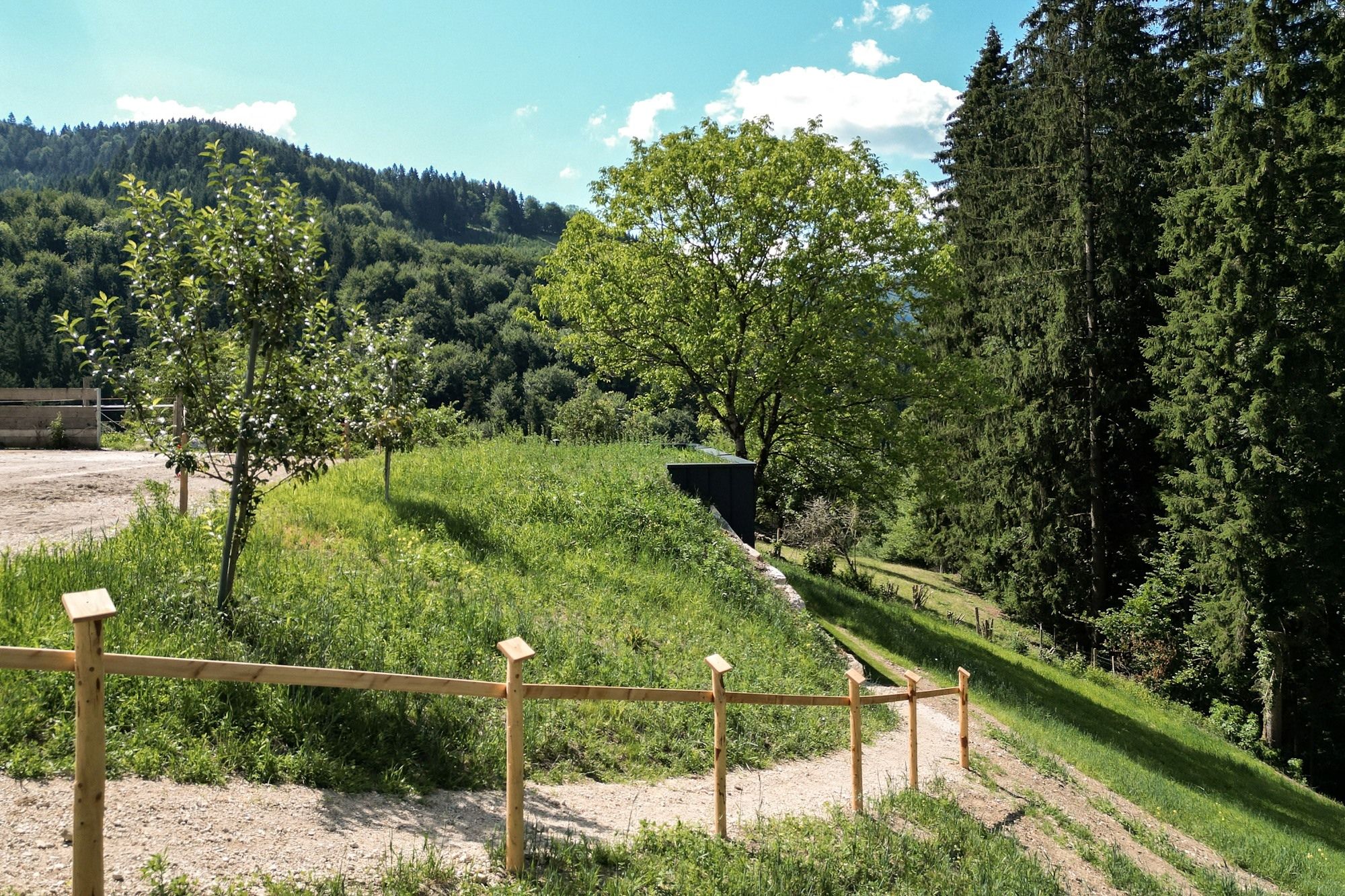 GRÜN- Dein Zuhause auf Zeit
