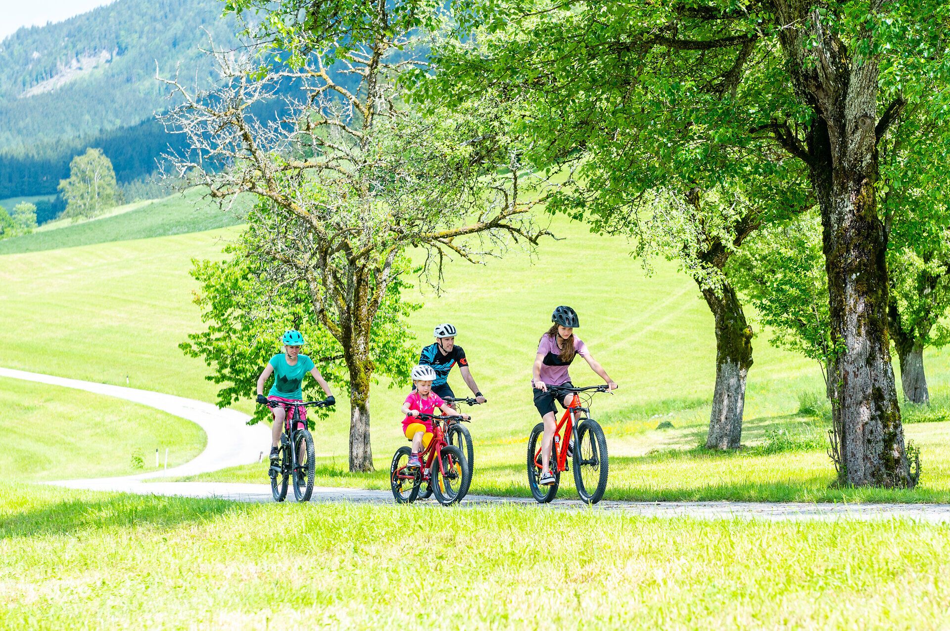 Eine fröhliche Familie erkundet die malerischen Wege der Ybbstaler Alpen auf ihren Mountainbikes. Umgeben von saftigem Grün und majestätischen Bäumen genießen sie die frische Bergluft und die Schönheit der Natur. Diese unvergessliche Tour verspricht Abenteuer und gemeinsame Erlebnisse in einer atemberaubenden Landschaft.