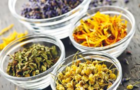 Verschiedene getrocknete Kräuter in Glasschalen auf einem Holztisch.