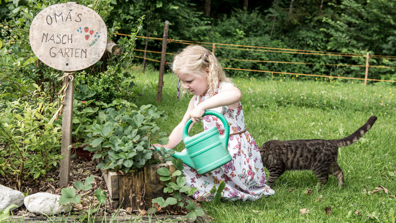 Ferienhaus Oberbach, &copy; Wolfgang Wutzl
