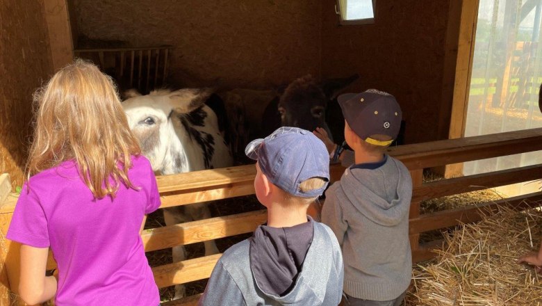 experiences-at-karnerhof, &copy; Karnerhof