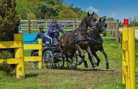 Karlstetten Driving and Riding Club, &copy; Gerty Schabas