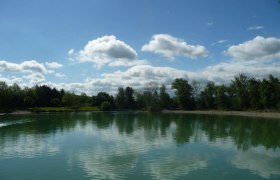 A calm lake with trees and clouds reflected in the water.