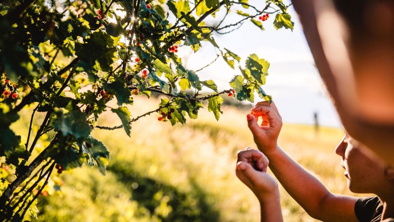 Nestelberg 17, &copy; Sabine Wieser