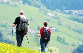 Hiker on a flower meadow, &copy; weinfranz.at