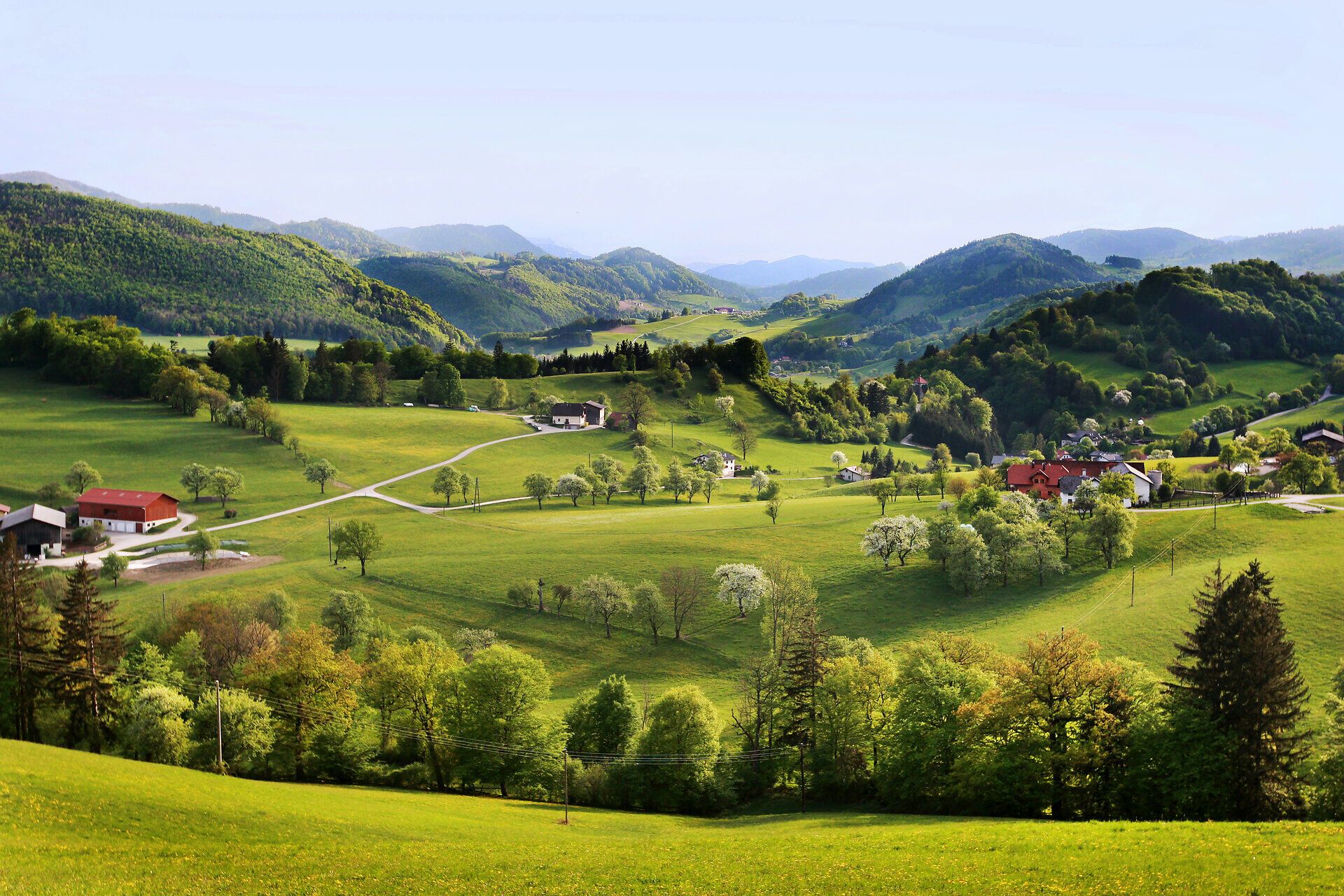 Die sanften Hügel des Pielachtals laden zu erholsamen Wanderungen ein, während die üppigen Wiesen in sattem Grün erstrahlen. Hier, wo die Natur in voller Blüte steht, können Besucher die frische Bergluft genießen und die Ruhe der Landschaft erleben.