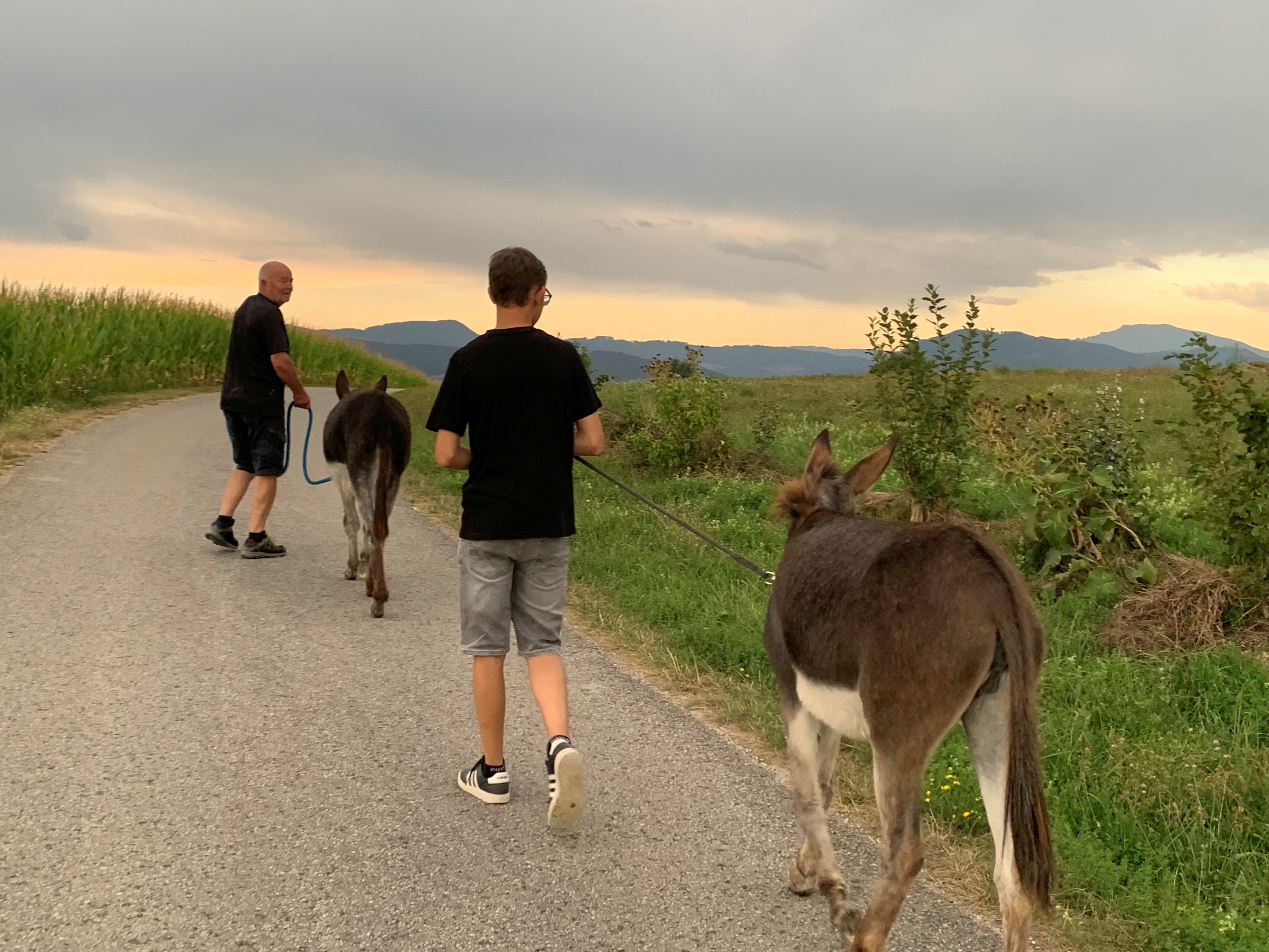 Eselwanderung am Esperanzahof