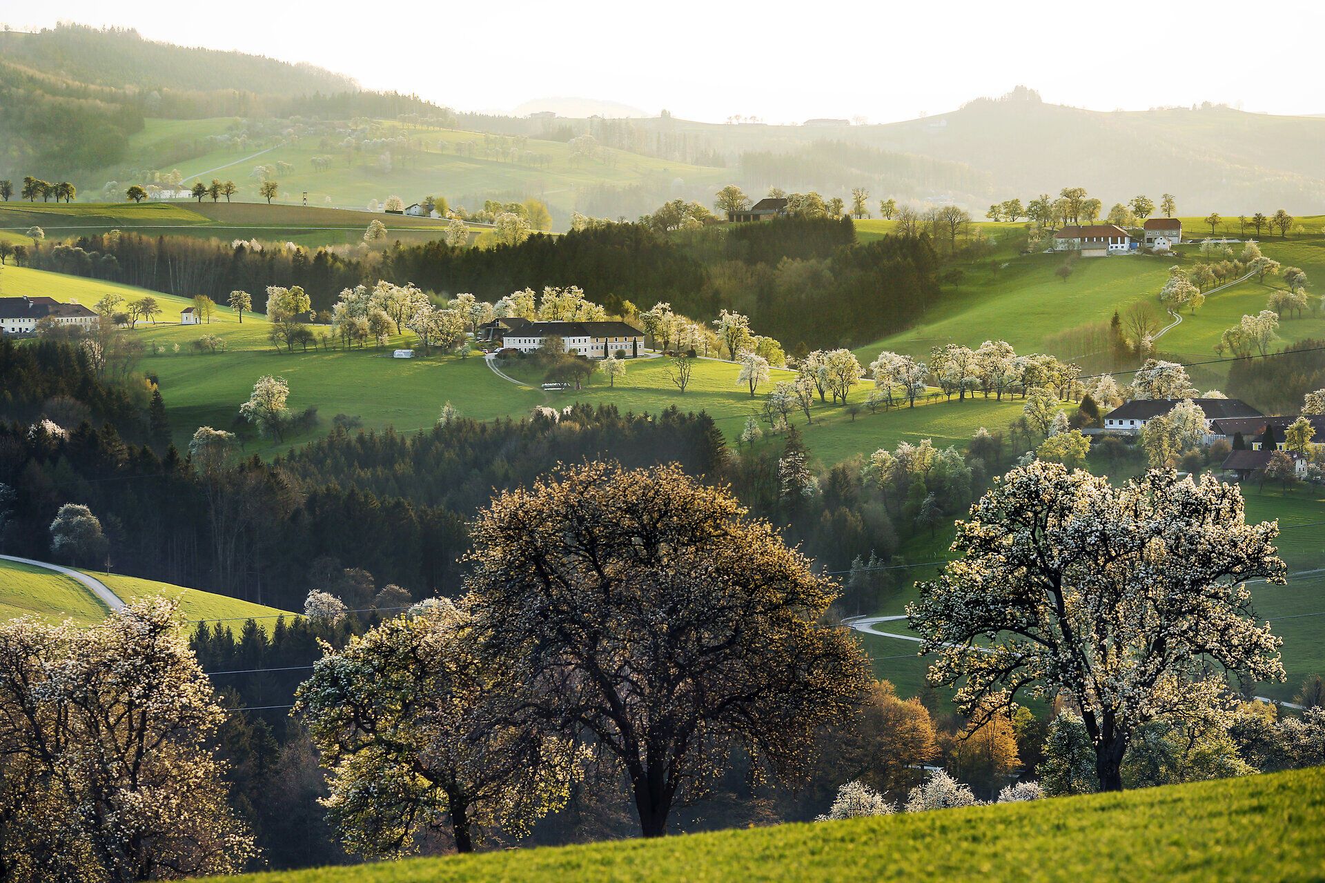 Im April erblühen die Birnbäume in voller Pracht und verwandeln die Landschaft in ein blühendes Paradies. Die sanften Hügel und das weite Panorama laden zu einem entspannenden Spaziergang ein, während die frische Frühlingsluft die Sinne belebt.
