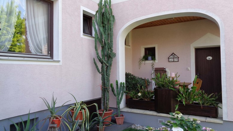 Inner courtyard with a view of a pink façade and many potted plants and windows.