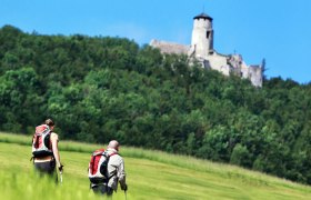 Pilgern entlang von Via Sacra und Wr. Wallfahrerweg, &copy; weinfranz.at