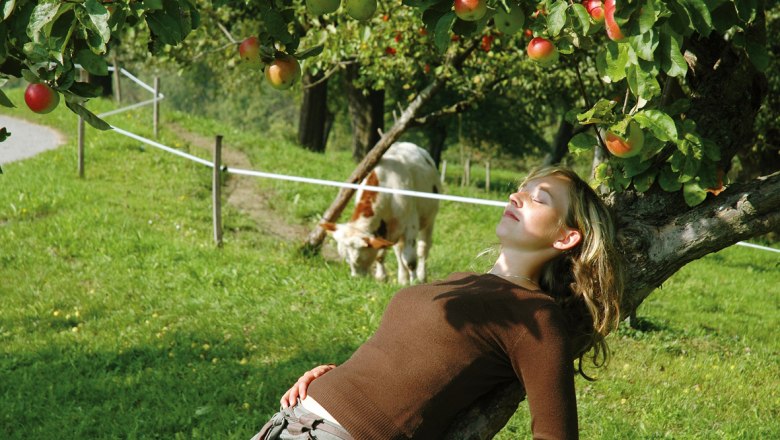 Relax at the Nussbaumerhof, © Streißlberger Josef und Monika