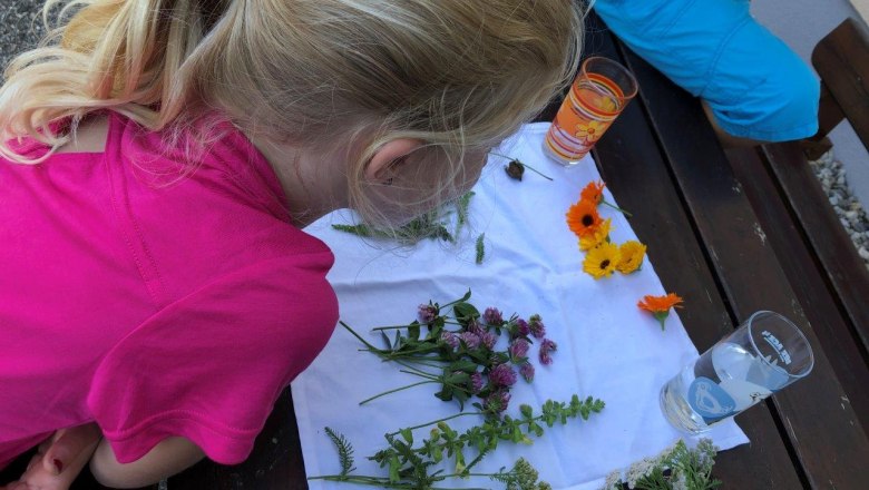 experiences-at-karnerhof, &copy; Karnerhof