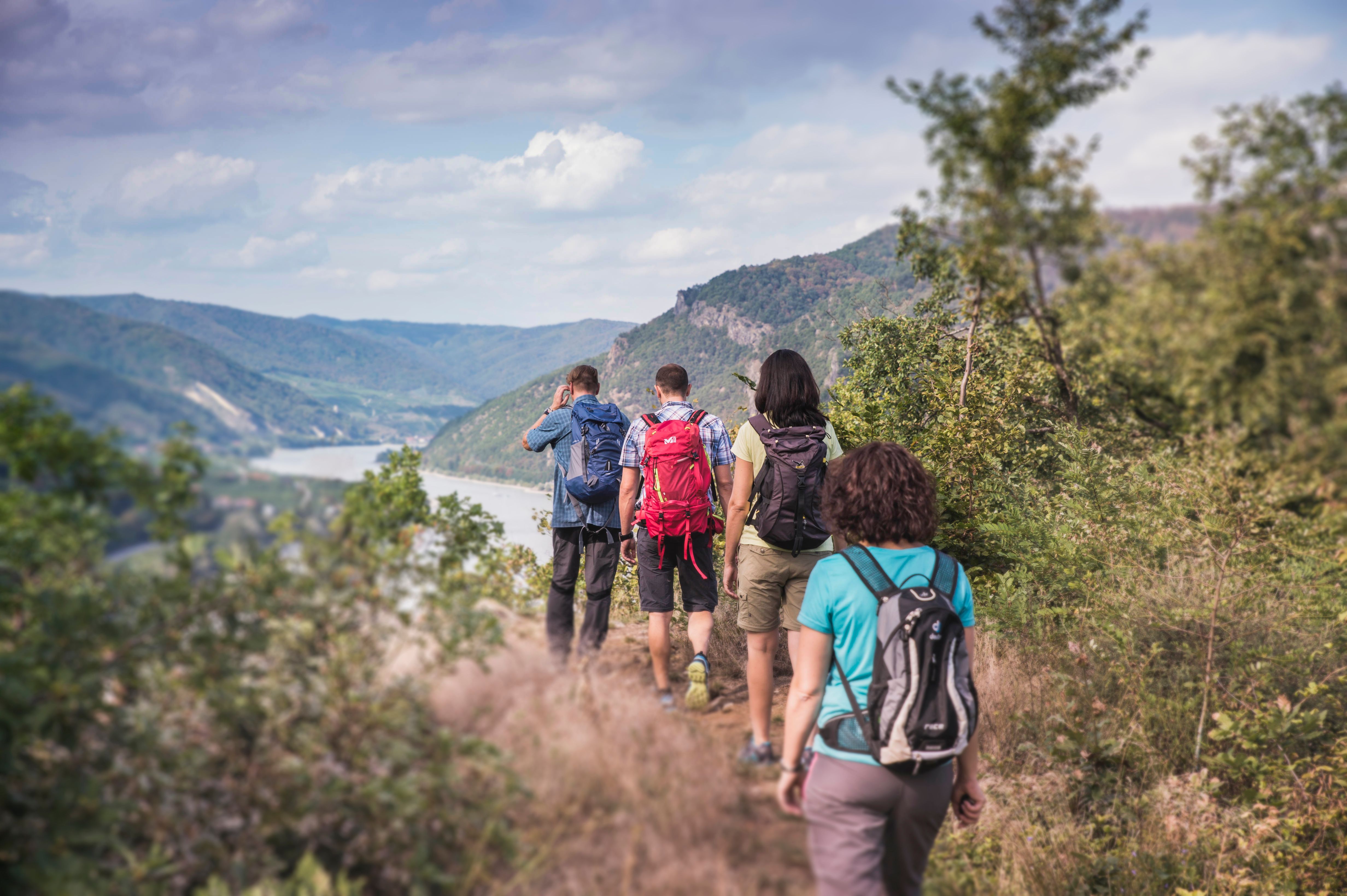 Wandernde am Welterbesteig im Dunkelsteinerwald mit wunderbaren Ausblick ins Donautal vom Luftberg.