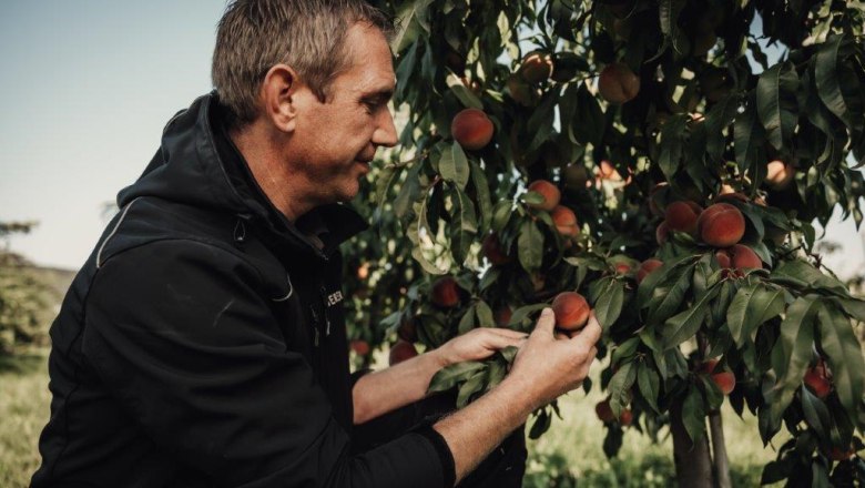 Altenriederer fruit farm, &copy; Monika Jungwirth, Karma & Pitch