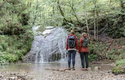 Umgeben von üppigem Grün und dem sanften Plätschern des Wassers, stehen Wanderer am Ufer und genießen die erfrischende Brise. Die Kogler Wasserfälle präsentieren sich in voller Pracht und laden dazu ein, die Schönheit der Ybbstaler Alpen hautnah zu erleben.